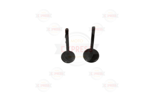 Tvs Scooty Pep 75-90 Cc Subap Tk