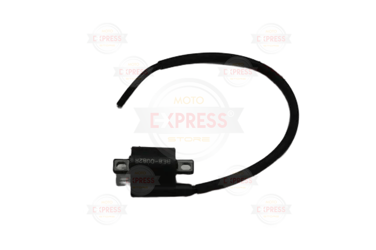 Yamaha Delight 125 Dış Bobin