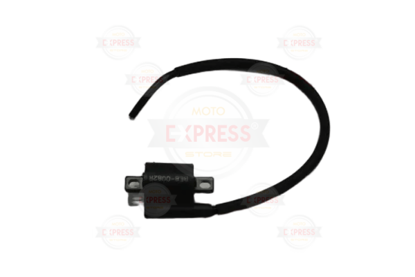 Yamaha Delight 125 Dış Bobin