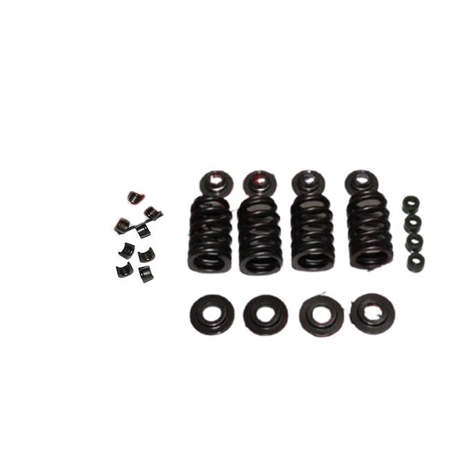 Bajaj Dominar 400 Sübap Yay Seti A