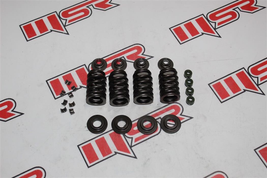 Bajaj Dominar 400Ug-D250-D400 E5 Sübap Yay Seti A