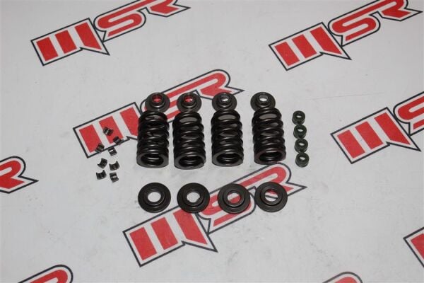 Bajaj Dominar 400Ug-D250-D400 E5 Sübap Yay Seti A