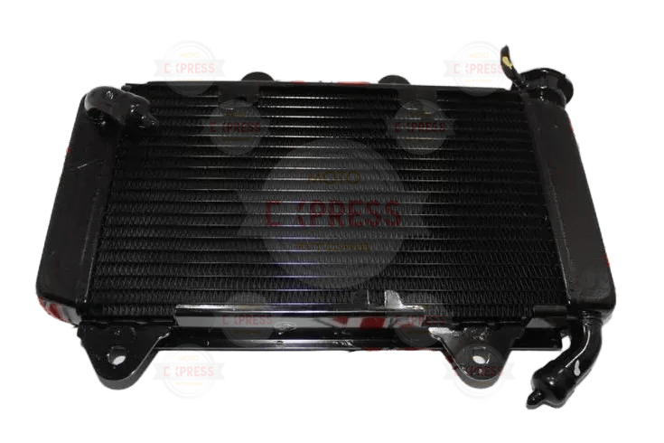 Pulsar Rs 200 Radyatör A