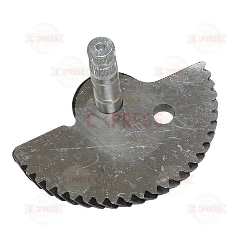 Moto Express MARŞ MİLİ ACTİVA HİNT