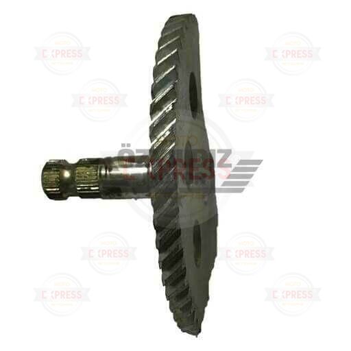 Moto Express MARŞ MİLİ ACTİVA YENİ MODEL