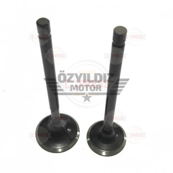 Moto Express SUPAP WEGO  USHA TK