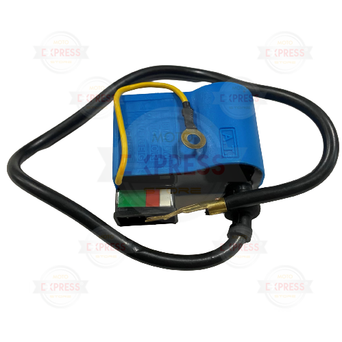 Moto Express BEYİN+BOBİN PX200