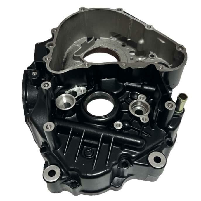 Tvs Apache RTR200 2019-2022 Sol Blok Motor Bloğu Karteri A