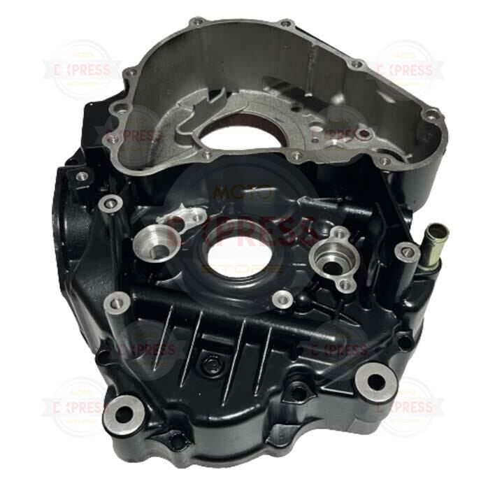 Tvs Apache RTR200 2019-2022 Sol Blok Motor Bloğu Karteri A