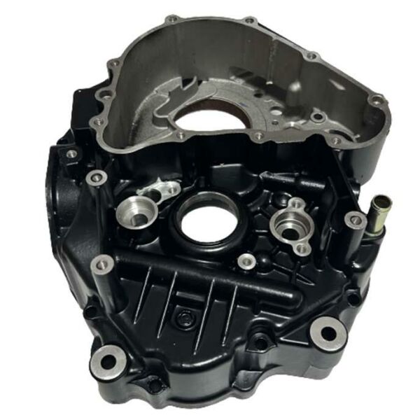 Tvs Apache RTR200 2019-2022 Sol Blok Motor Bloğu Karteri A