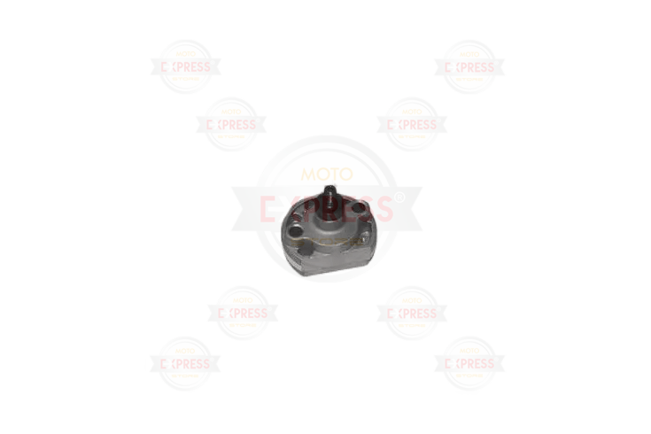 Drift-Mr Vulture 150 Yağ Pompası Orjınal