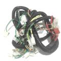 Moto Express TESİSAT BWS100 EM