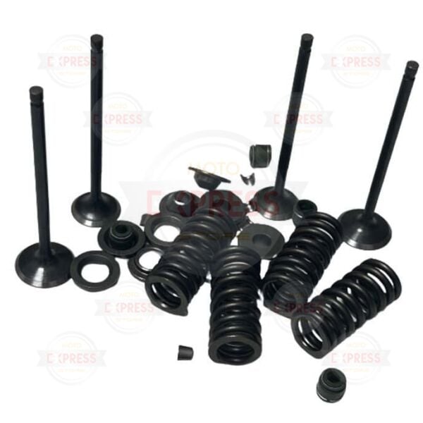 Tvs Apache RTR200 2019-2024 Subap Emme Egzoz Subabı Keçesi Yayı Takımı Seti A