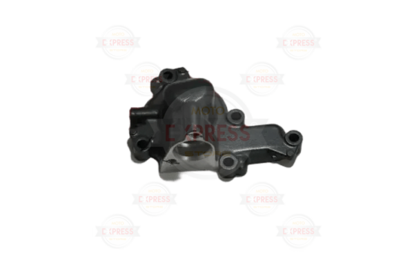 Pulsar Ns 200 Su Pompa Kapağı A