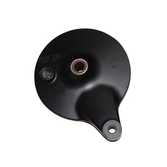 Tvs Raider 125 Arka Kampana A