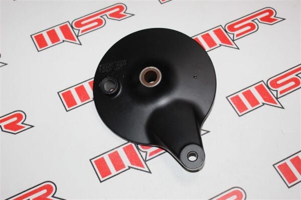 Tvs Raider 125 Arka Kampana A
