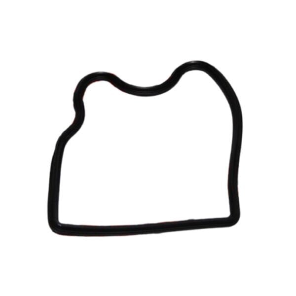 Tvs Raider 125 Külbütör Kapak Oring A