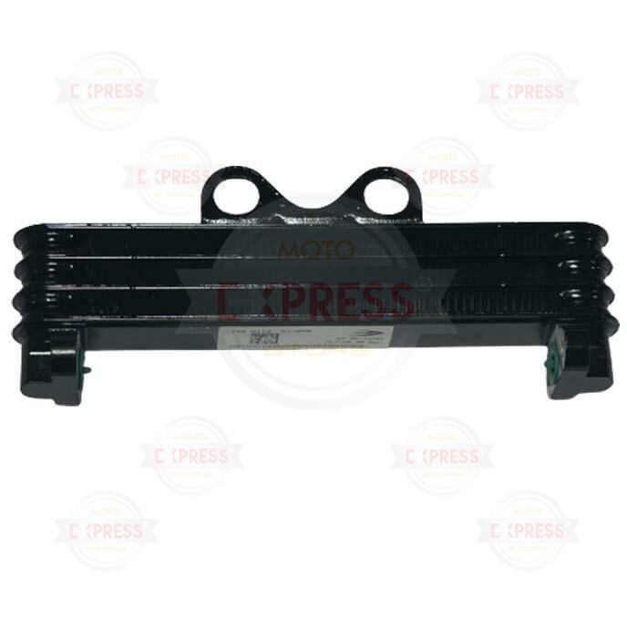 Tvs Apache RTR200 2019-2024 Yağ Soğutucu Radyatörü A