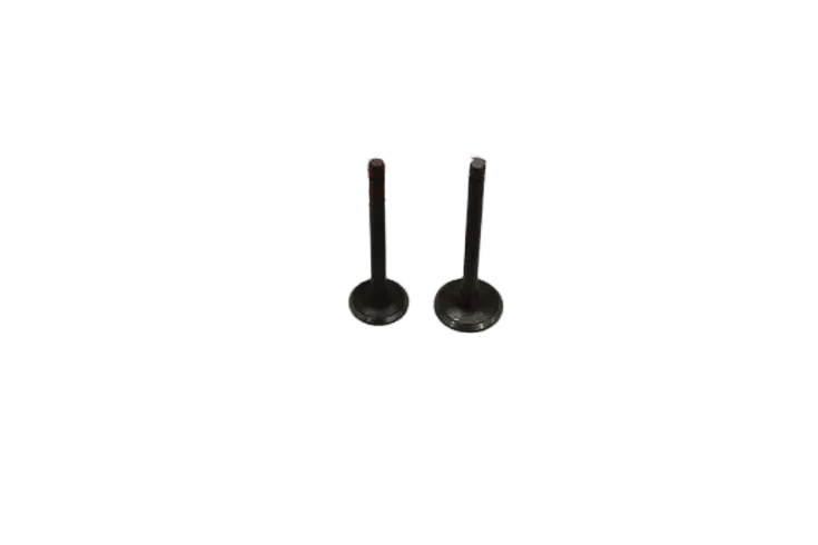 CYGNUS L SUBAP TK OEM