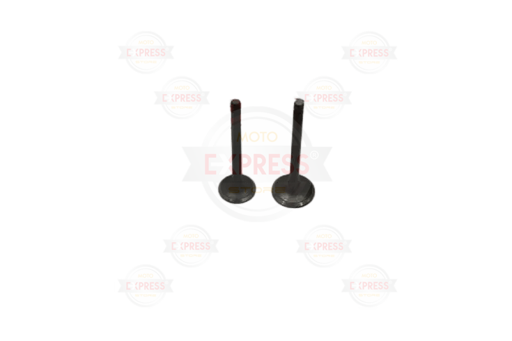 Cygnus L Subap Tk Oem