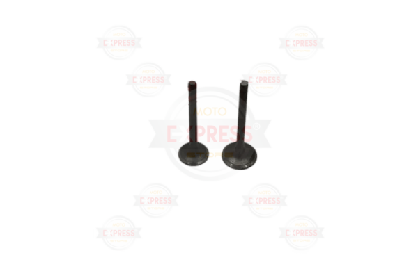 Cygnus L Subap Tk Oem