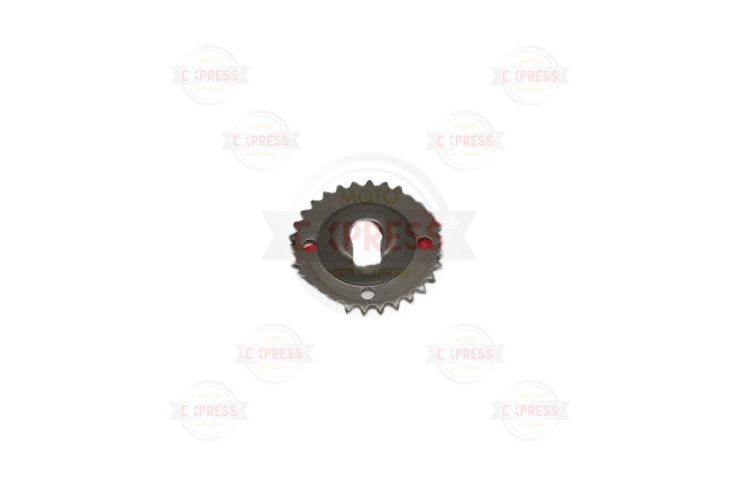 Cygnus L Eksantrik Zincir Dişli Oem