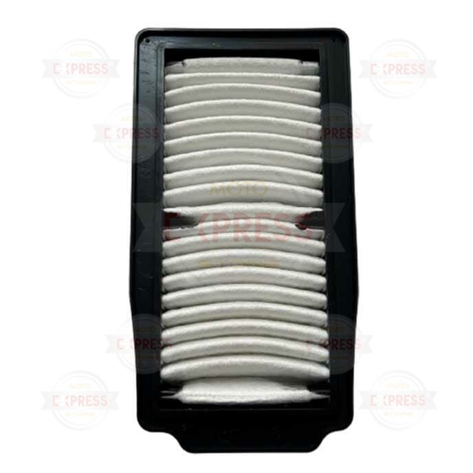 Suzuki GW250 İnazuma F Hava Filtresi A