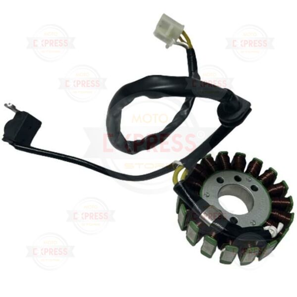 Tvs Apache RTR200 2019-2024 Statör Alternatör Sargısı A