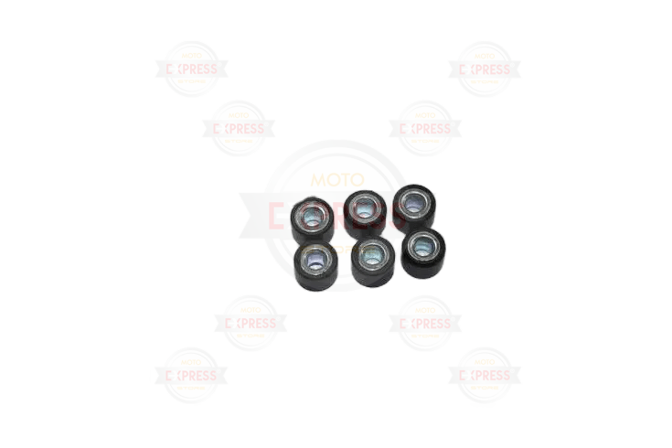 Cygnus L Varyatör 6 Lı Burç 8.5 Gram  12X15