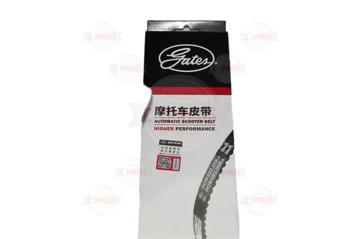 Cygnus L 100 Kayış Gates