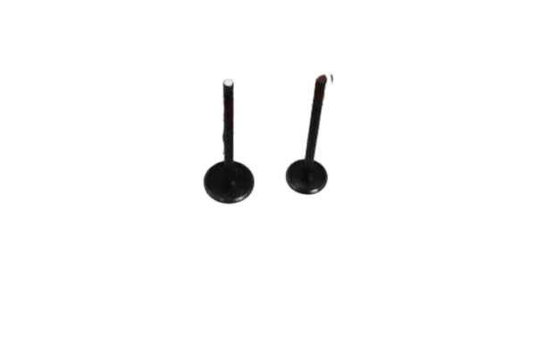 XL 185 SÜBAP TK OEM