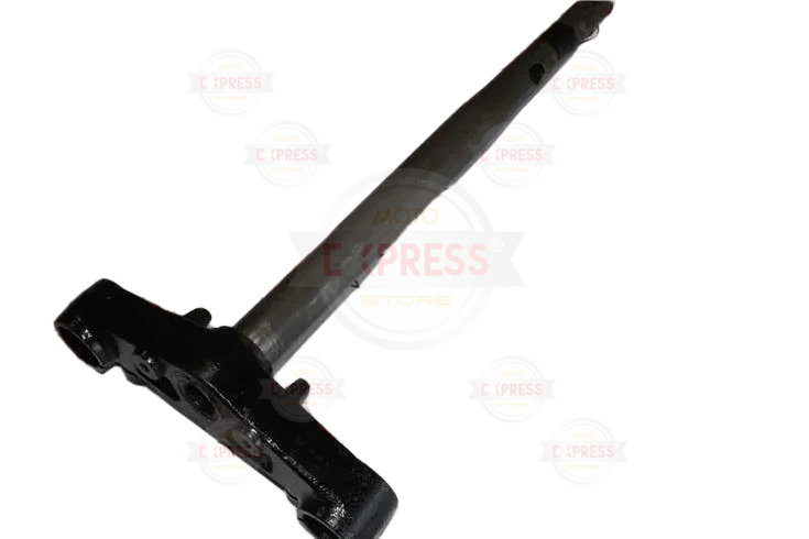 Cygnus L Ön Maşa Oem