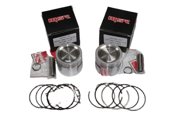 REGAL RMZ QM 250 CC 53.0 MM 1.00  15 PERNO PİSTON