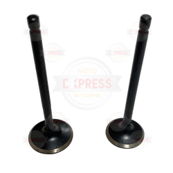 Moto Express SUPAP RTR USHA TK