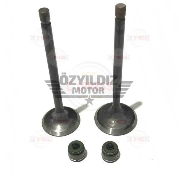 Moto Express SUPAP VE KEÇESİ RTR A TK