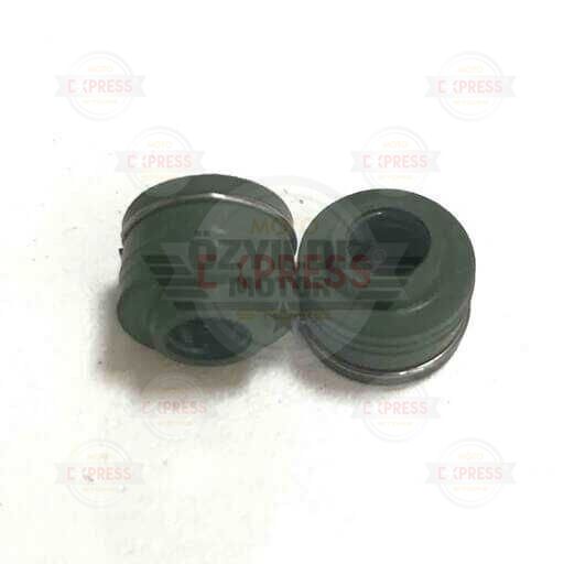 Moto Express SUPAP KEÇESİ NOUVO