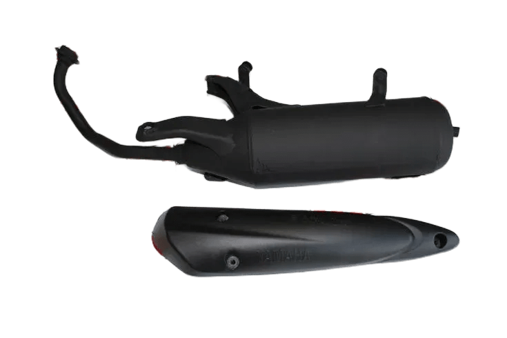 CYGNUS L EGZOZ OEM