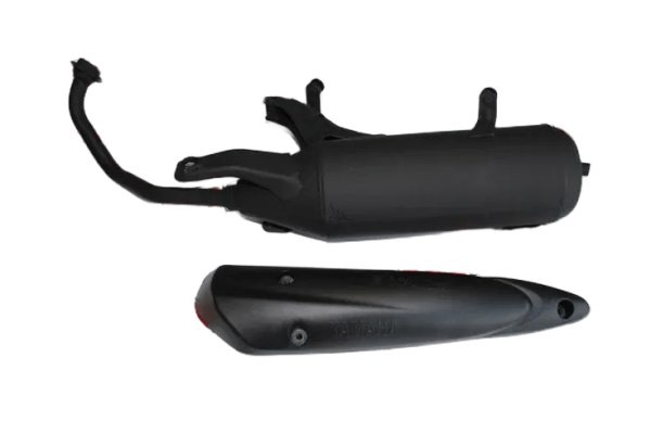 CYGNUS L EGZOZ OEM