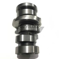 Moto Express EKSANTRİK MİLİ WEGO A