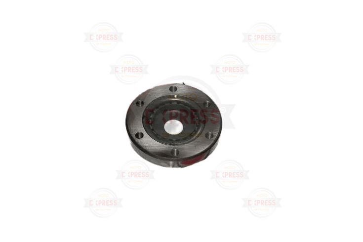 Xmax 250 Marş Kavrama