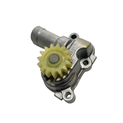 Moto Express YAĞ POMPASI R25 A 01