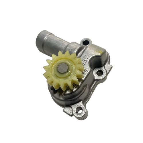 Moto Express YAĞ POMPASI R25 A 01