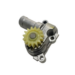 Moto Express YAĞ POMPASI R25 A 01
