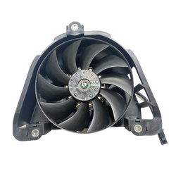 Moto Express FAN R25 A