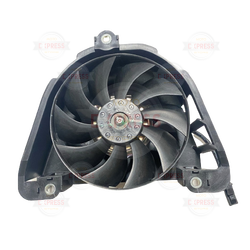 Moto Express FAN R25