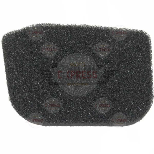 Moto Express HAVA FİLTRESİ WEGO