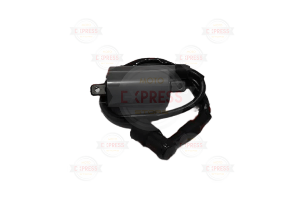 Xmax 250 Ateşleme Bobini