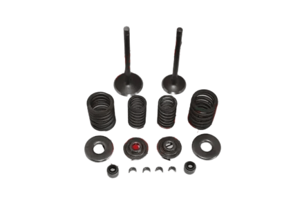 XMAX 250 SÜBAP YAY SETİ