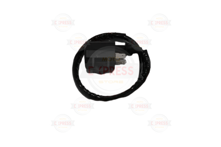 Suzuki An 125 Ateşleme Bobini