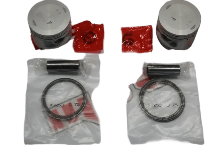 XV 250 CC PİSTON KİT 49.25 MM 13 PERNO